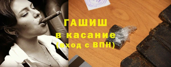 индика Новодвинск