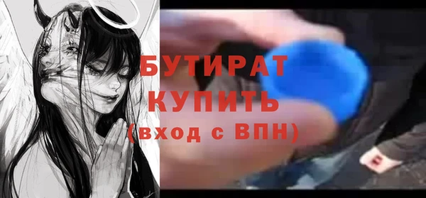 индика Новодвинск