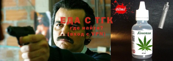 индика Новодвинск