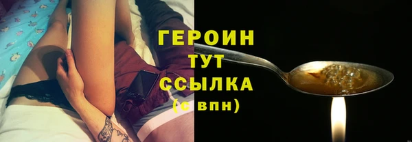 индика Новодвинск
