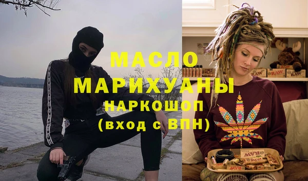 индика Новодвинск