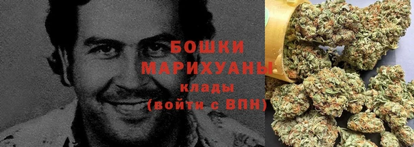 индика Новодвинск