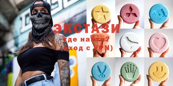 индика Новодвинск