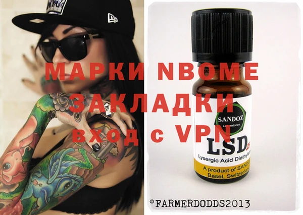 индика Новодвинск