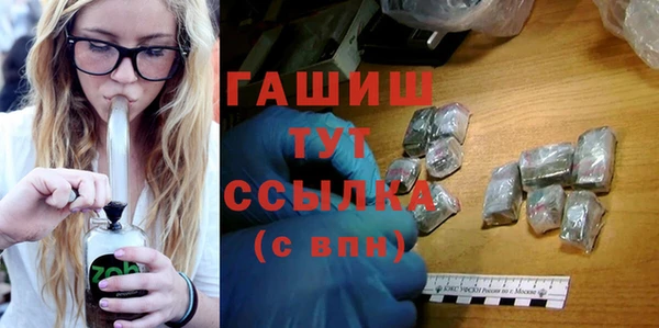 индика Новодвинск