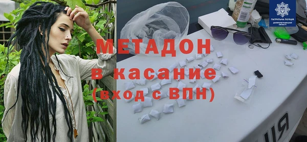 индика Новодвинск