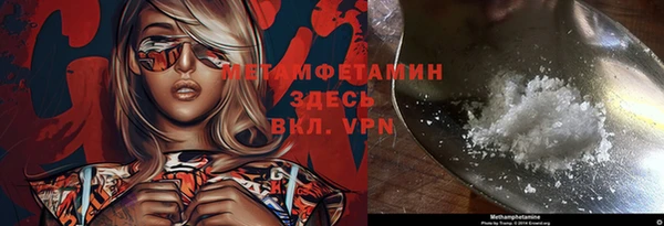 индика Новодвинск