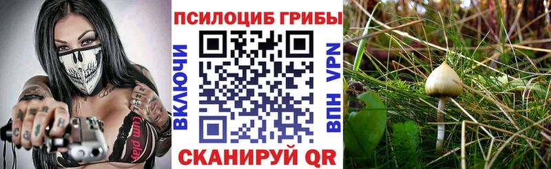 Псилоцибиновые грибы мухоморы  mega   Красноармейск  закладка 