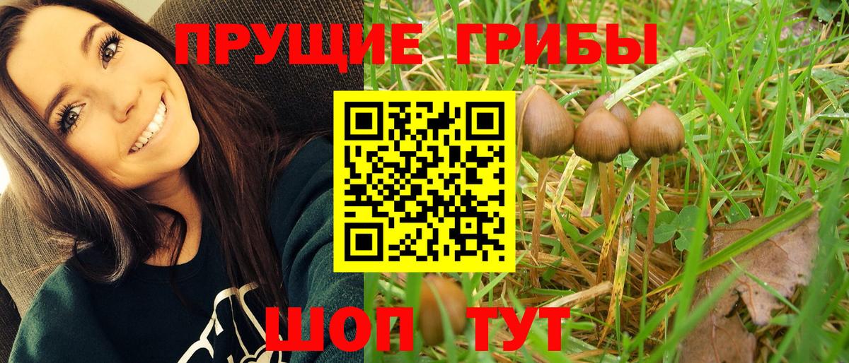 Красноармейск  Галлюциногенные грибы Cubensis  Галлюциногенные грибы Psilocybine cubensis  Вход с VPN 