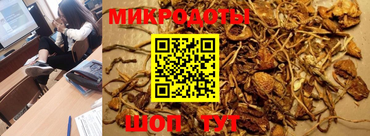 Псилоцибиновые грибы GOLDEN TEACHER Красноармейск