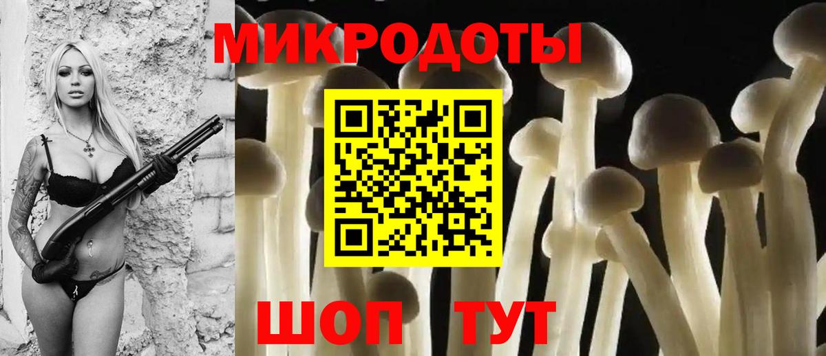 Псилоцибиновые грибы Psilocybe  Псилоцибиновые грибы мицелий  Красноармейск 